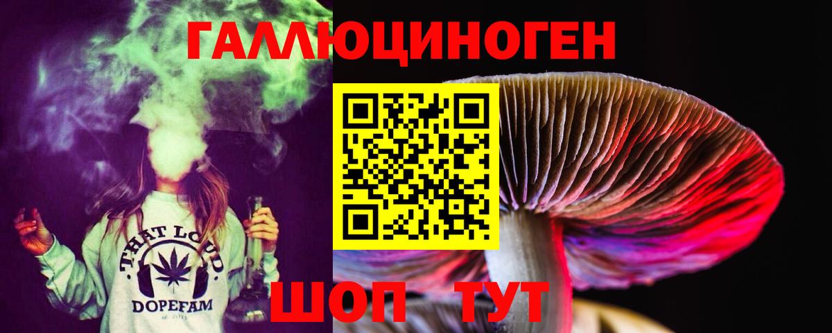 Абинск  где найти наркотики  Вход с VPN  Галлюциногенные грибы Psilocybine cubensis 
